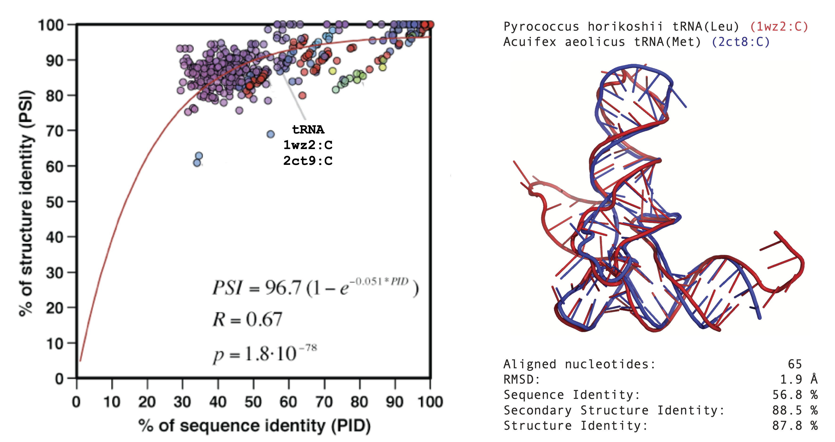 RNA Structural Alignment